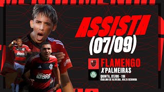 Campeonato Brasileiro Sub20  Final  Flamengo x Palmeiras [upl. by Gilli]