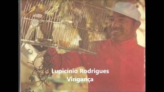 Lupicínio Rodrigues Vingança [upl. by Cressida]