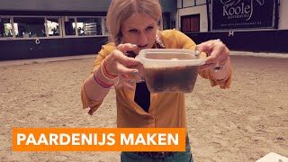 Hoe maak je paardenijs  PaardenpraatTV [upl. by Seldan]