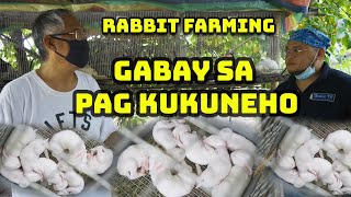 Rabbit Farming I Gabay sa Pag Kukuneho [upl. by Zucker]