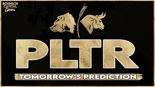 PLTR Stock  Palantir Prediction for Tuesday Feb 6th [upl. by Kcirtemed]