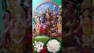 Aigiri Nandini  Mahishasura Mardini মহালয়া Mahalaya Status gardening shortsvideo Durga [upl. by Nirahs]