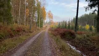 Ridning an old bike through the Swedish forest and countryside [upl. by Amalita705]