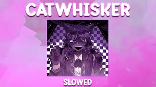 CATWHISKER SLOWED DEEPWOKEN [upl. by Tempa716]