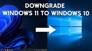 How to Downgrade From Windows 11 to Windows 10 [upl. by Merlin]