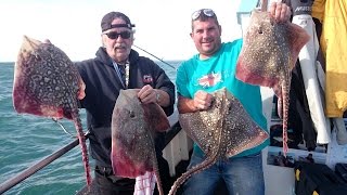 Fishing for Thornback Rays on board the Skerry Belle charter boat [upl. by Bernhard]