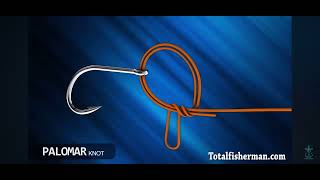 Palomar fishing knot foryou fishing tutorial tips [upl. by Aidua420]