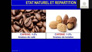 Pr Bouzaabata  Pharmacognosie   Bases Puriques [upl. by Nace54]