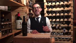 In The Cellar  Torcicoda 2016 Primitivo Tormaresca  Cardoncello diVino [upl. by Briscoe]