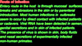 PCR Test for detection and treatment of Ebola Virus Genekam [upl. by Newhall]