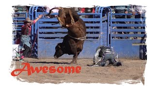 Breathtaking Bull Riding Compilation In Slow Motion [upl. by Kip]