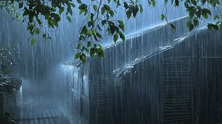 Heavy Rain in the forest and Thunderstorm sounds for Sleep [upl. by Ehgit428]