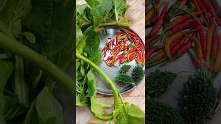 ଛାତ ଉପରେ ଓର୍ଗାନିକ୍ ପରିବା ଚାଷ  Terrace garden vegetableharvesting organicgardening short [upl. by Annayehc]