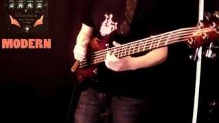 Or Lubianiker Payson Fanned Nickel Steel Bass Strings Dingwall [upl. by Zuliram]