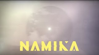 Namika  Wo immer das Licht brennt Lyric Video [upl. by Suolekcin724]