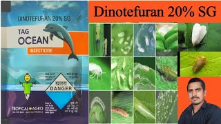 dinotefuran 20 sg uses in hindiosheen dinotefuran 20 sgdinotefuran 20 sg insecticide [upl. by Racso]