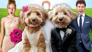 My DOG got MARRIED In Real Life [upl. by Nivets]