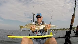 Intracoastal 21 inch Speckled Trout [upl. by Jethro]