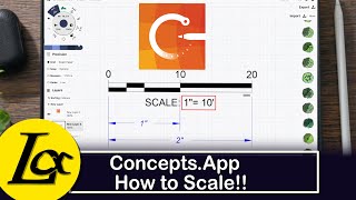 Concepts App tutorial for beginners how to add a scale [upl. by Appilihp21]