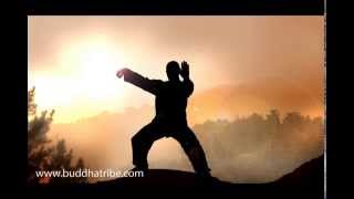 Qi Gong Music Sounds Relaxing Tai Chi Music and QiGong Meditation Nature Music [upl. by Hameean145]