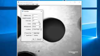 Using ImageJ to add a scale bar to an image [upl. by Oren158]