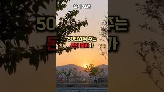 시아버지가 만날때마다 주시는 50만원 돈 출처가 충격이에요 shorts [upl. by Rahab564]