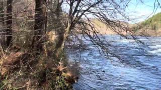 Hiawassee River near Reliance Tennessee [upl. by Winterbottom]