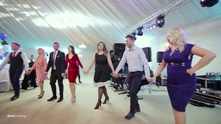 LIVE BOTEZ 2018 Olguta Berbec Remus Novac si formatia Banat Express [upl. by Ednutey]