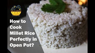 How to cook millet rice perfectly in PotPan  fluffy millet rice  Open Pot recipe [upl. by Maier281]