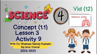 Science Primary 4 First term 2425 Con 11 Les 3 Respiratory system شرح ساينس سنة رابعة 2425 [upl. by Savell]