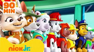 Patrulha Canina  Os Filhotes Salvam o Viajante do Tempo 90 Minutos  Nick Jr [upl. by Eleinad]