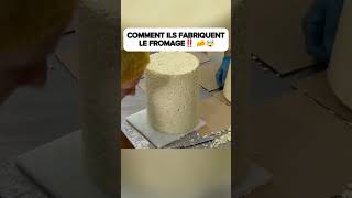 COMMENT ILS FABRIQUENT LE FROMAGE ‼️🧀🤯 food streetfood delicious cooking fypシ゚viral [upl. by Percy]