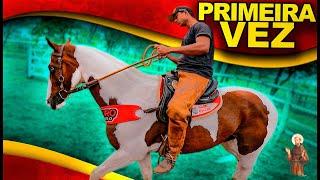 Primeira vez no cavalo Paint Horse [upl. by Siladnerb]