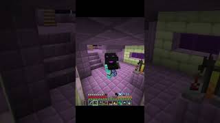 We got our first elytra in our smp minecraft gamerfleet smp anshubisht [upl. by Eelrehpotsirhc]