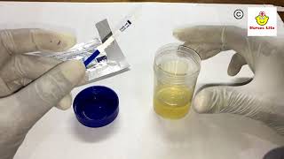 How to perform HCG Pregnancy test at home [upl. by Lehmann]