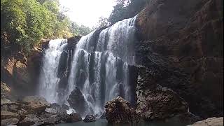 sathodi waterfall 🌊🌊Yellapur [upl. by Ealasaid]