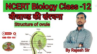 structureofovule rajeshsirbio biology neet ncertbiology rajeshsir बीजाण्ड [upl. by Gray]