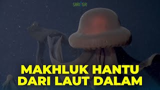 Penampakan UburUbur Hantu Raksasa Makhluk Laut yang Misterius [upl. by Kathie]