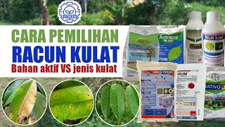 Racun Kulat Untuk Pokok Durian [upl. by Jenna143]