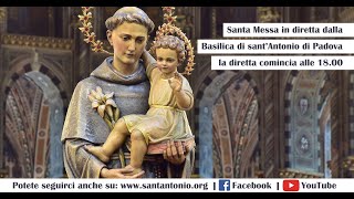 Santa Messa in diretta dalla Basilica del Santo a Padova [upl. by Venterea841]