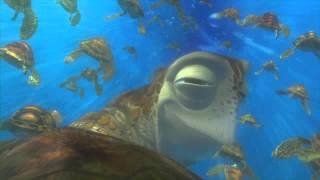 Finding Nemo quotExit Buddyquot Clip [upl. by Maitund]