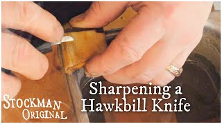 How to Sharpen a Hawkbill Knife for Scrimshaw [upl. by Kitchen250]