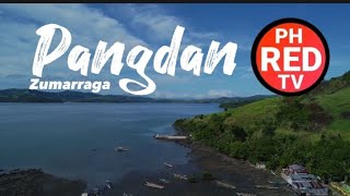 Barangay Pangdan Zumarraga Samar drone video  PH RED TV [upl. by Georgeanna958]