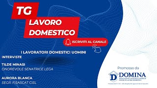 Tg Lavoro Domestico  i lavoratori domestici uomini [upl. by Keverian]