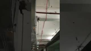 Fire alarm system cable work addressable SEWP SERVICES Pvt Ltd mahaveer Hospital sumerpur Rajasthan [upl. by Farmann]