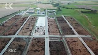 NZ’s largest feedlot ‘We take great care of our animals’ RNZ Checkpoint [upl. by Lesnah]