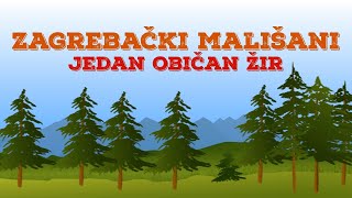 Zagrebački mališani  Jedan običan žir Official lyric video [upl. by Sedinoel]