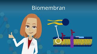 Biomembran  Aufbau und Funktion [upl. by Atirehgram]