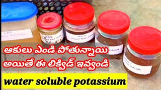 water soluble potassium  chohan q methods  వాటర్ సొలిబుల్ పొటాసియం [upl. by Anaidni]