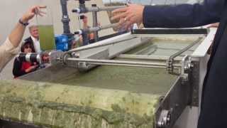 EWS Algae A60 HighSpeed ChemicalFree Algae Harvesting [upl. by North631]